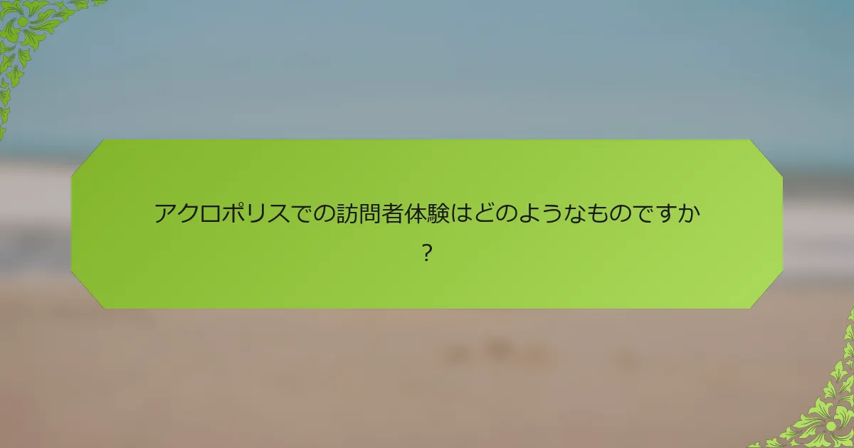 アクロポリスでの訪問者体験はどのようなものですか？