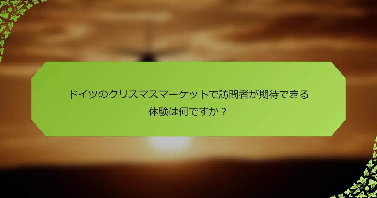 ドイツのクリスマスマーケットで訪問者が期待できる体験は何ですか？